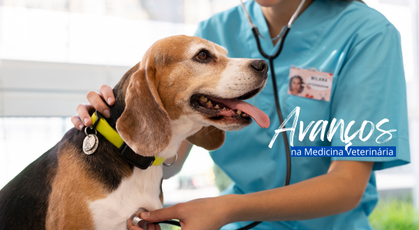 medvet